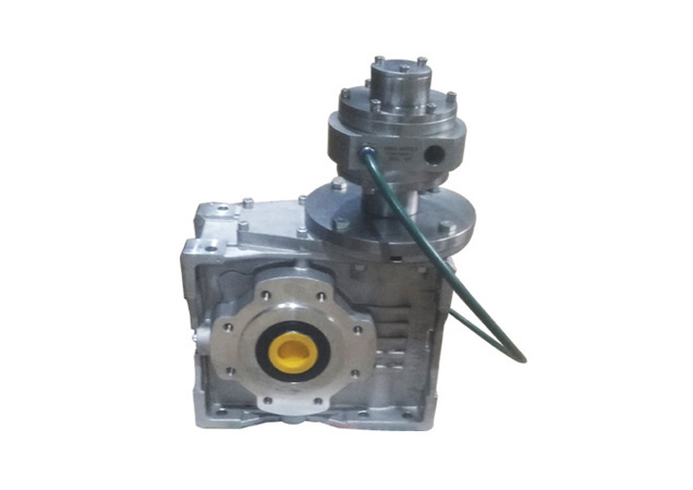 Air Motors With Worm Gear Box