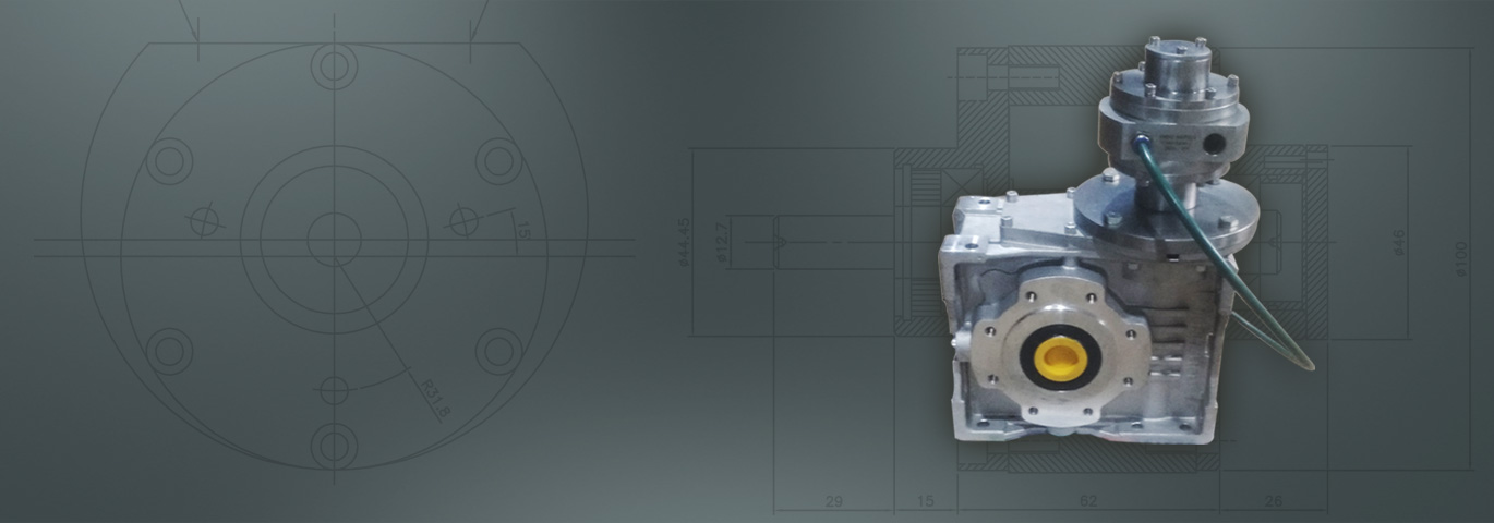 Air Motors With Worm Gear Box