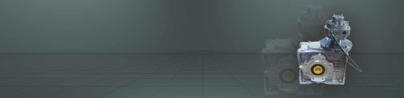 Air Motors With Worm Gear Box