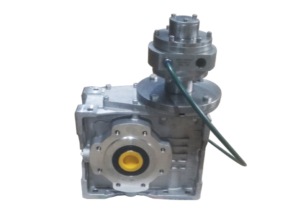 Vane with Worm Gears Air Motors